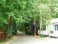 Фотография Новь ДПК 1