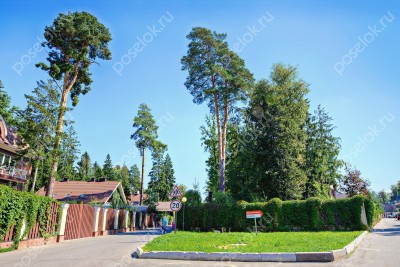 Фотография Лесной простор-3
