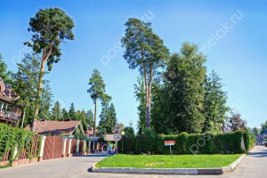 Фотография Лесной простор-3