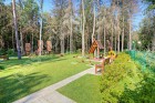 Фотография Лесной простор-3