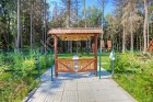 Фотография Лесной простор-3