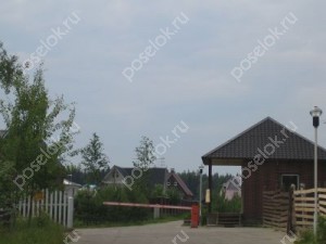 Фотография Новосходненский
