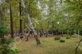 Фотография Фонд развития Международного Университета 9