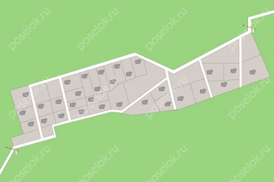 План поселка Лес ДСК (Жуковка)