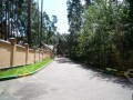 Фотография Лес ДСК (Жуковка) 4