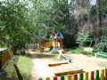 Фотография Лес ДСК (Жуковка) 5