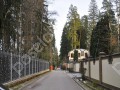 Фотография Жуковка-3 11