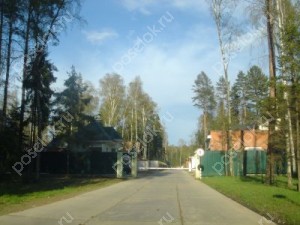 Фотография Лесной простор-2