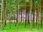 Фотография Аметист