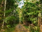 Фотография Аметист