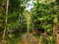 Фотография Аметист 6