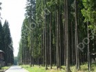 Фотография Зори НП