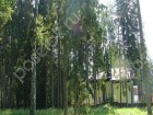Фотография Зори НП