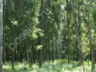 Фотография Зори НП