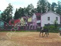 Фотография Греческий 4