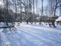 Фотография Вешки-95 10