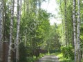 Фотография Лосиный Остров 6