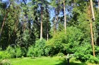 Фотография РАНИС