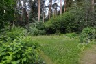 Фотография РАНИС