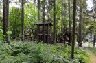Фотография РАНИС