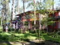 Фотография РАНИС 4