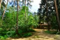 Фотография РАНИС 5