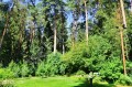 Фотография РАНИС 7