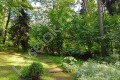 Фотография РАНИС 8