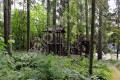 Фотография РАНИС 10