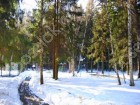 Фотография Успенские Дачи-2 УПДП