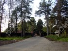 Фотография Сосновый бор