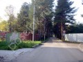 Фотография Сосновый бор 2