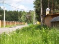 Фотография Сосновый бор 6