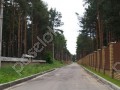 Фотография Сосновый бор 7