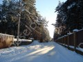 Фотография Сосновый бор 9