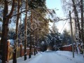 Фотография Сосновый бор 10