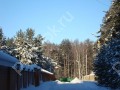 Фотография Сосновый бор 12