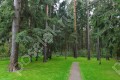 Фотография Пансионат Сосны УПДП 6