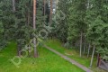 Фотография Пансионат Сосны УПДП 7