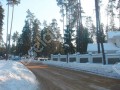 Фотография Пансионат Сосны УПДП 13