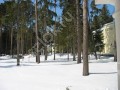 Фотография Пансионат Сосны УПДП 14