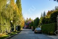 Фотография Береста 14