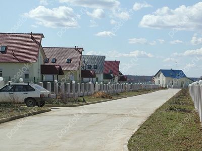 Фотография Ромашки