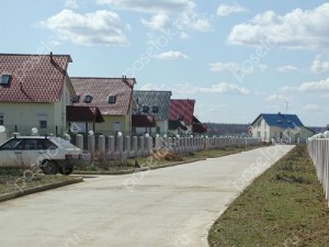 Фотография Ромашки