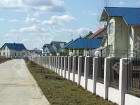 Фотография Ромашки
