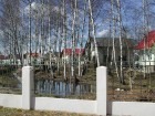 Фотография Ромашки