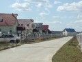 Фотография Ромашки 1