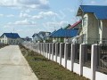 Фотография Ромашки 3