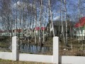 Фотография Ромашки 4