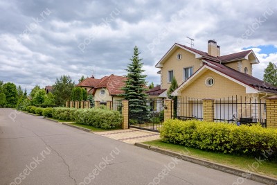 Фотография Клены
